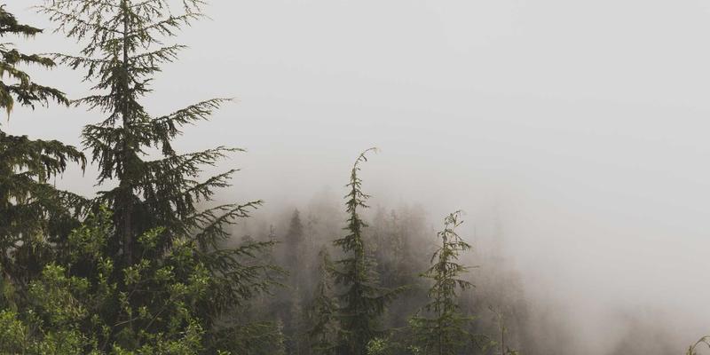 Spanish Car Parts 32: Your Guide to Auto Parts, Performance Upgrades & Accessories