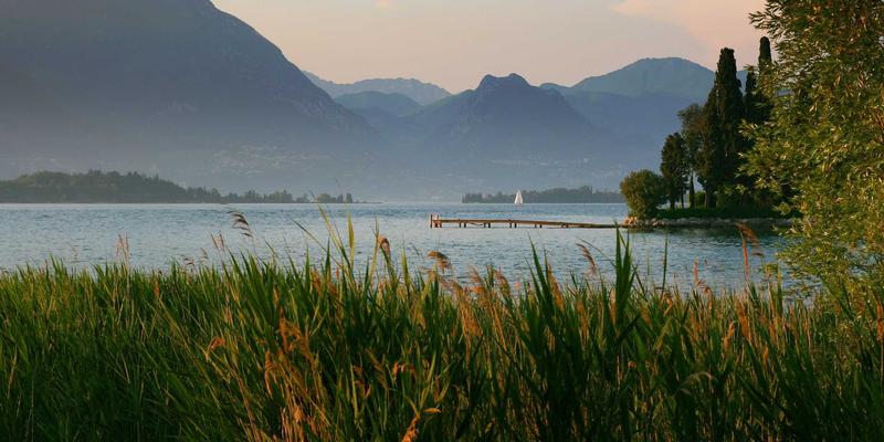 Spanish Car Parts 98：性能升级、核心部件与配件全解析