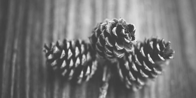 西班牙汽车配件:性能升级的艺术与工程