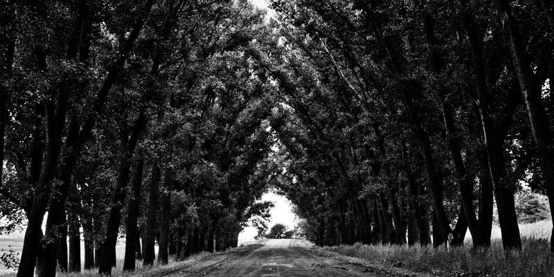 西班牙汽车零部件产业的崛起：创新、质量与全球竞争力