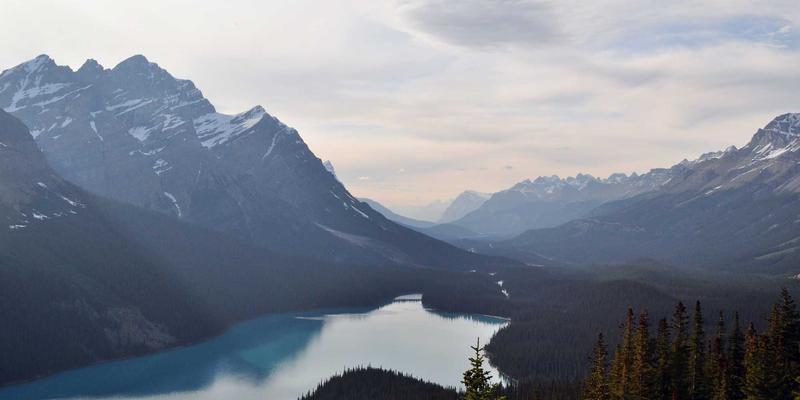 西班牙汽车零部件指南：从原厂配件到性能改装的全方位解析