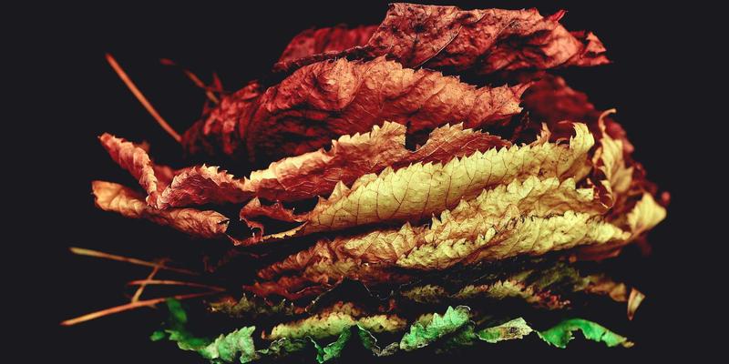 西班牙高性能正时套件：为何是发动机高转速的灵魂守护者？